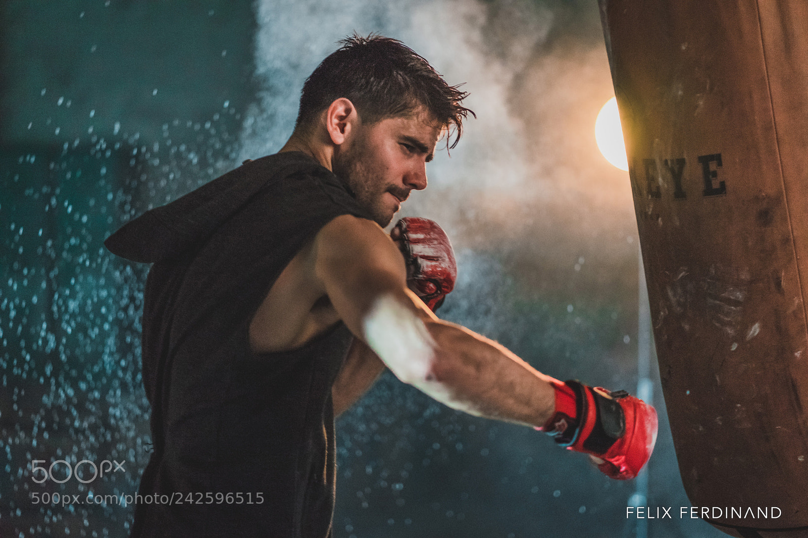 Sony a7 II sample photo. Live bold photography