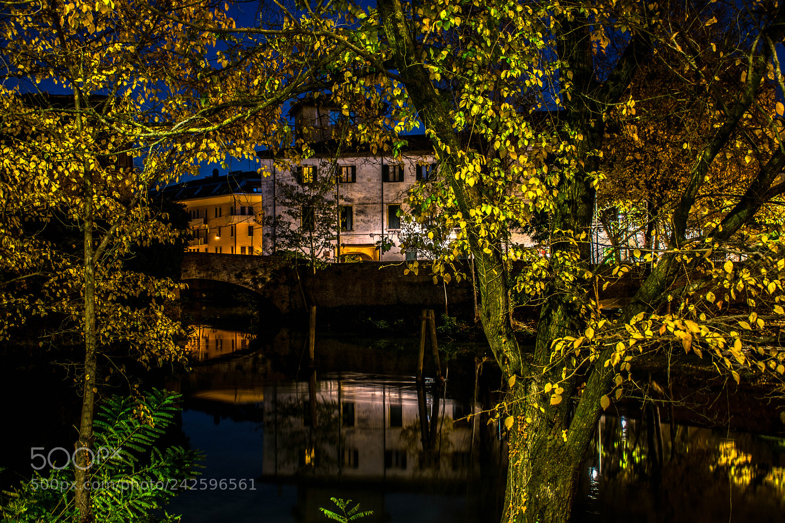 Nikon D7200 sample photo. The night, the colours photography