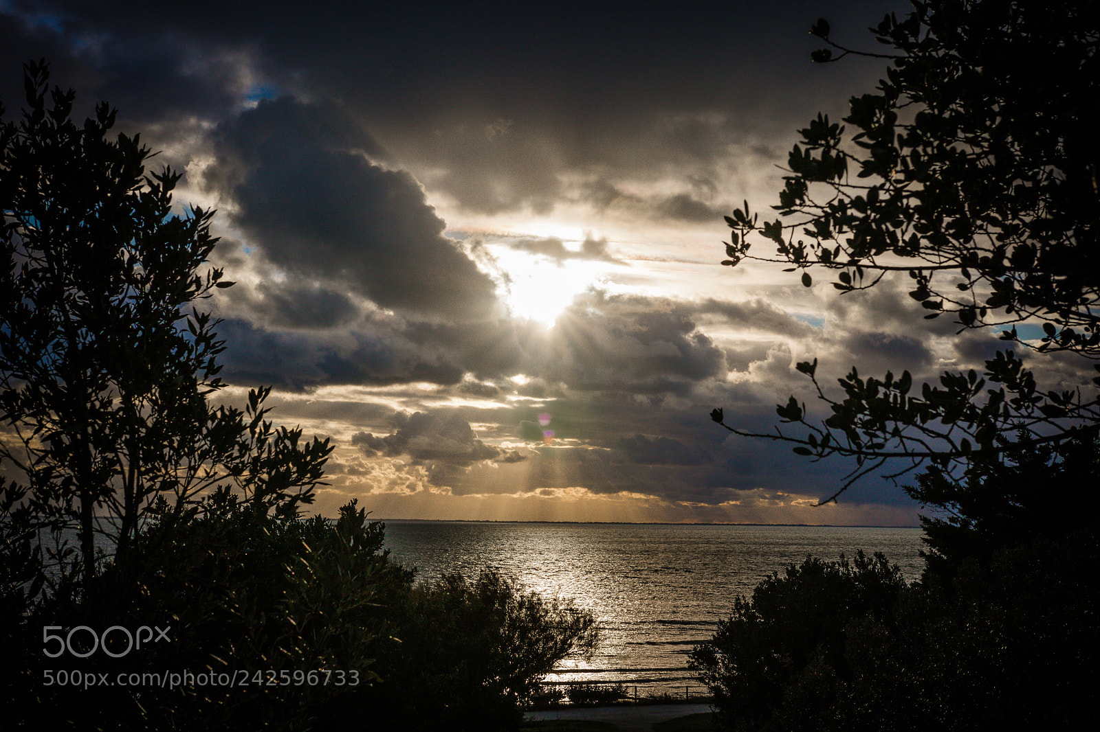 Canon EOS 750D (EOS Rebel T6i / EOS Kiss X8i) sample photo. Gorgeous sunset by west photography