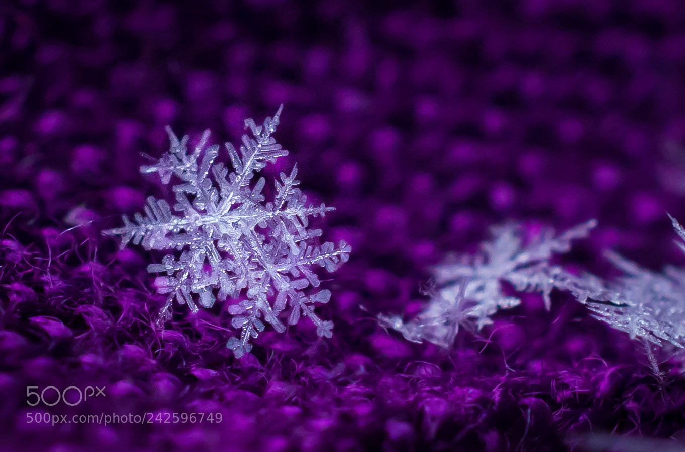 Nikon D7100 sample photo. A couple of flakes photography