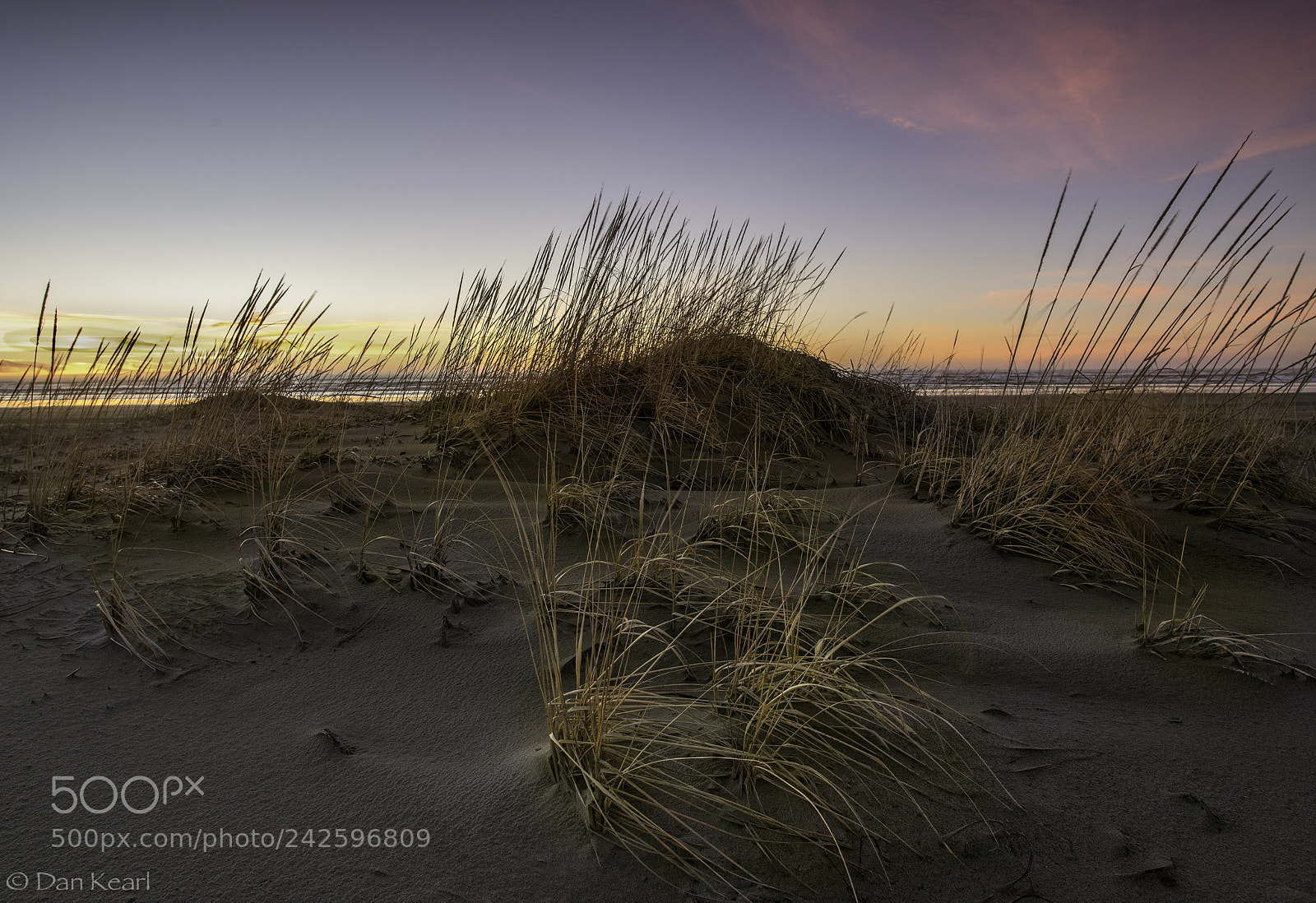 Nikon D800 sample photo. Beach grass photography