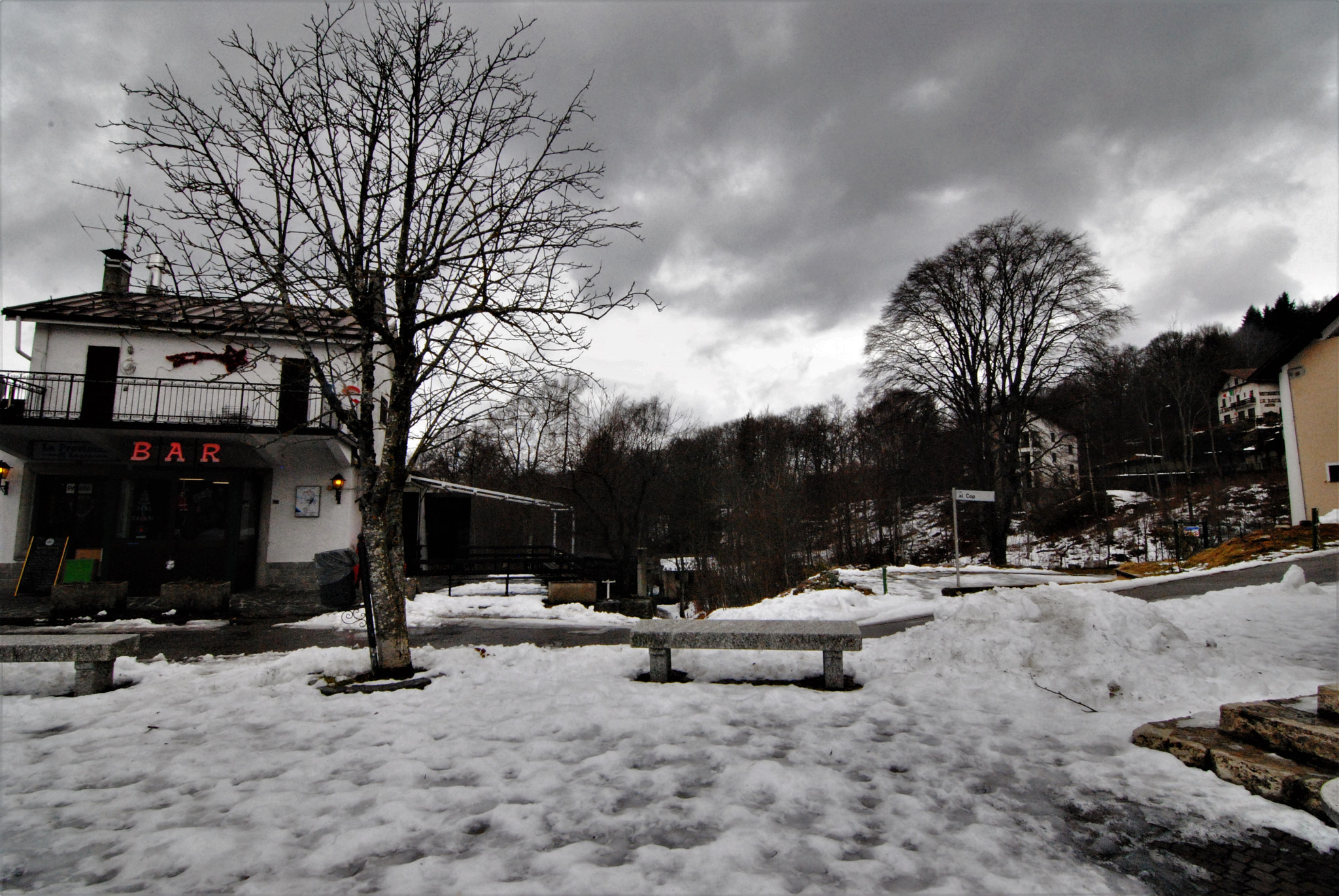 Nikon D3000 sample photo. Winter taste iii photography