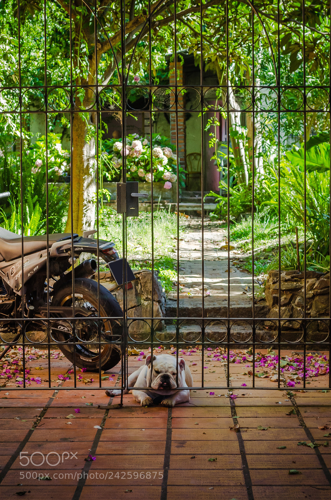 Nikon D5100 sample photo. Waiting for you photography