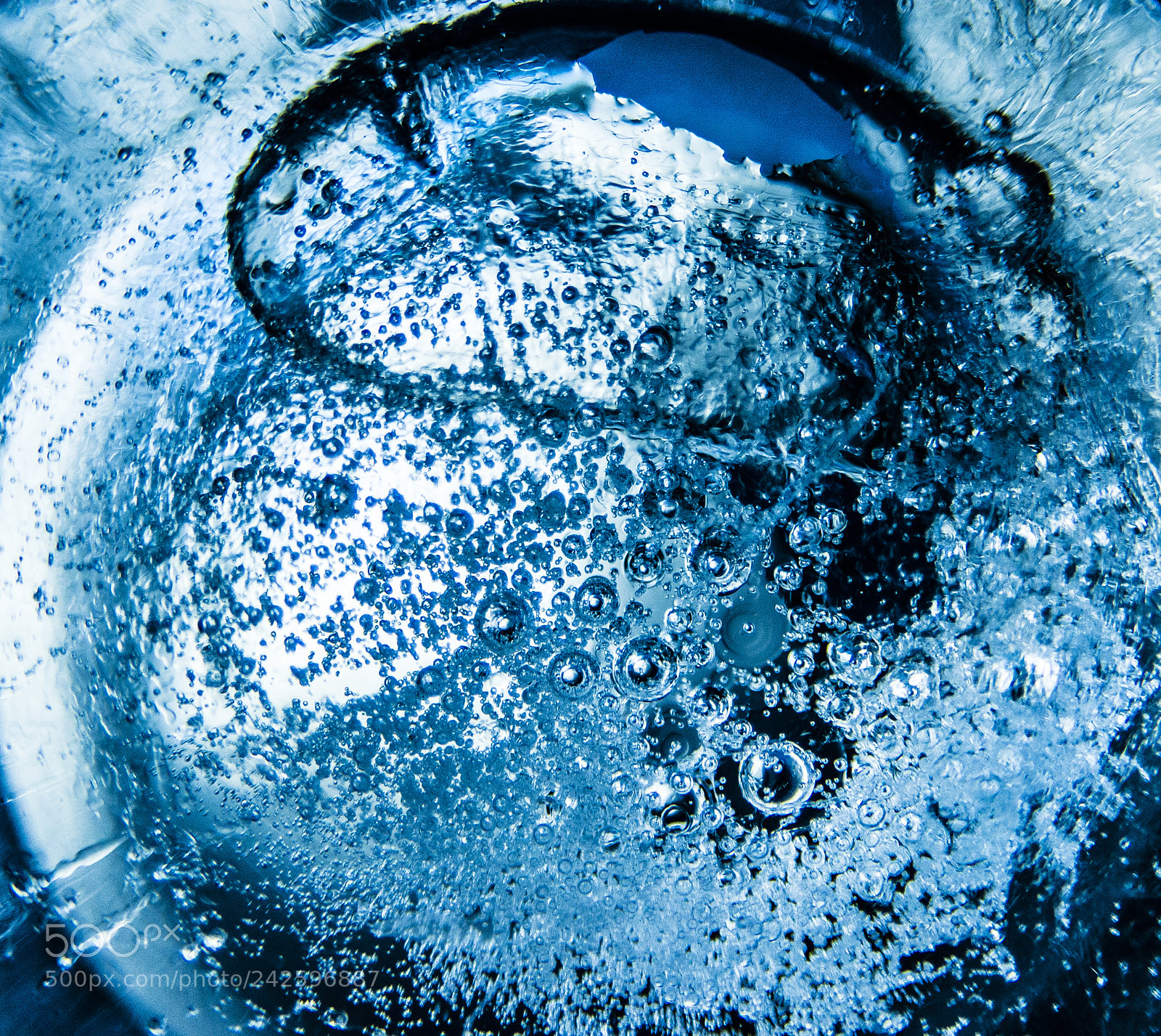 Nikon D800 sample photo. Frosty macro vol. 8 photography