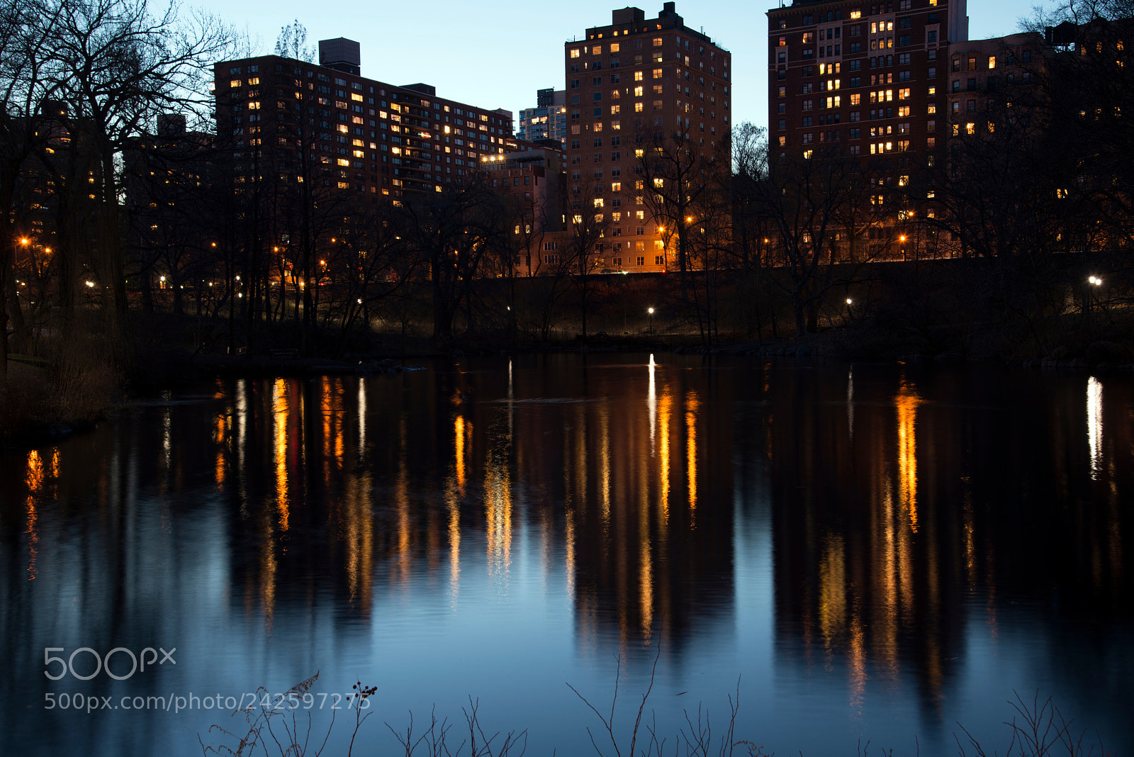 Nikon D800E sample photo. Central park reflections photography
