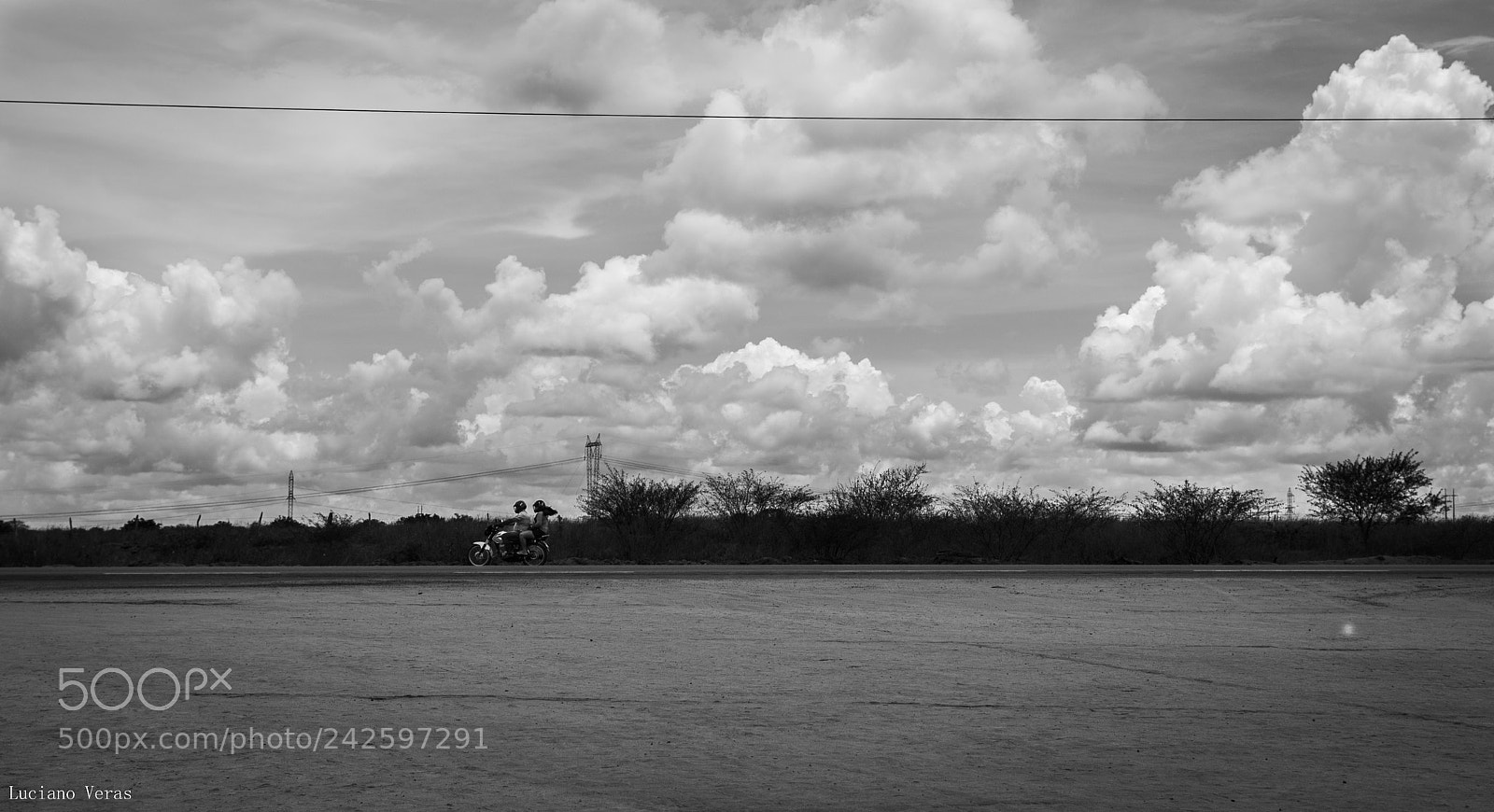 Nikon D610 sample photo. Run away photography