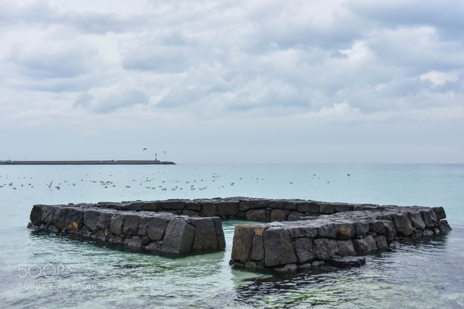Nikon D810 sample photo. 제주 어느날 photography