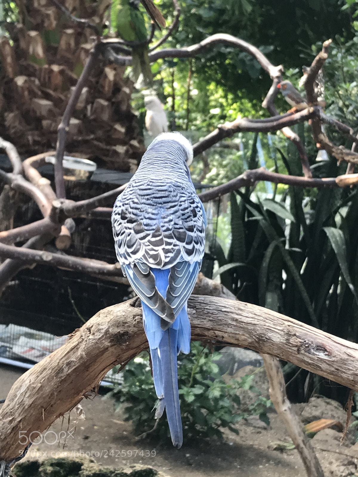 Apple iPhone 7 Plus sample photo. Untitled photography