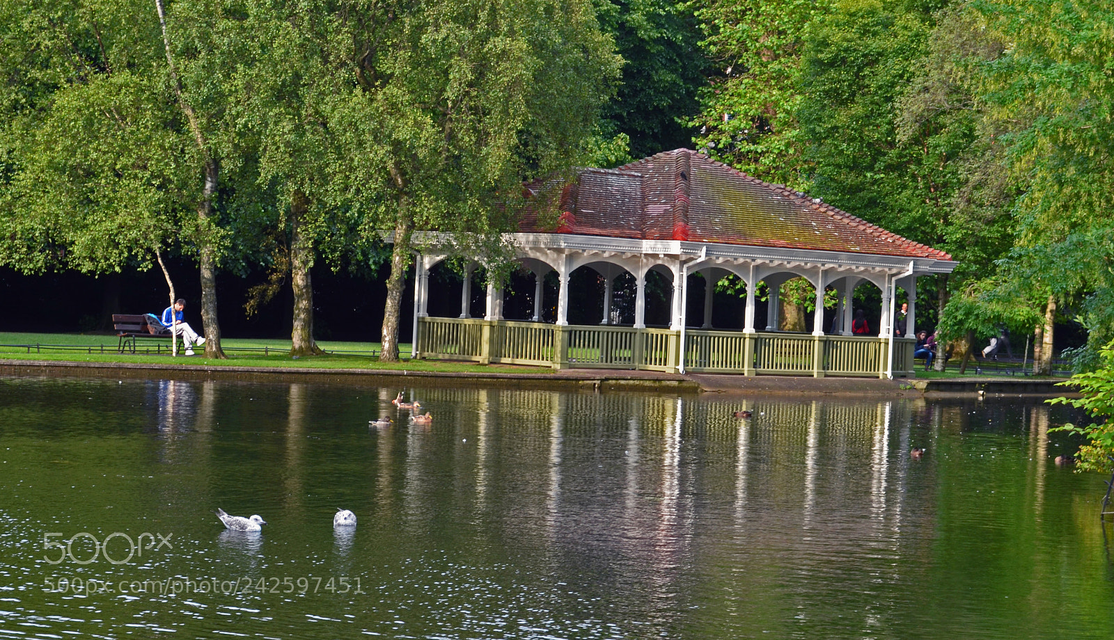 Nikon D5100 sample photo. In the park photography