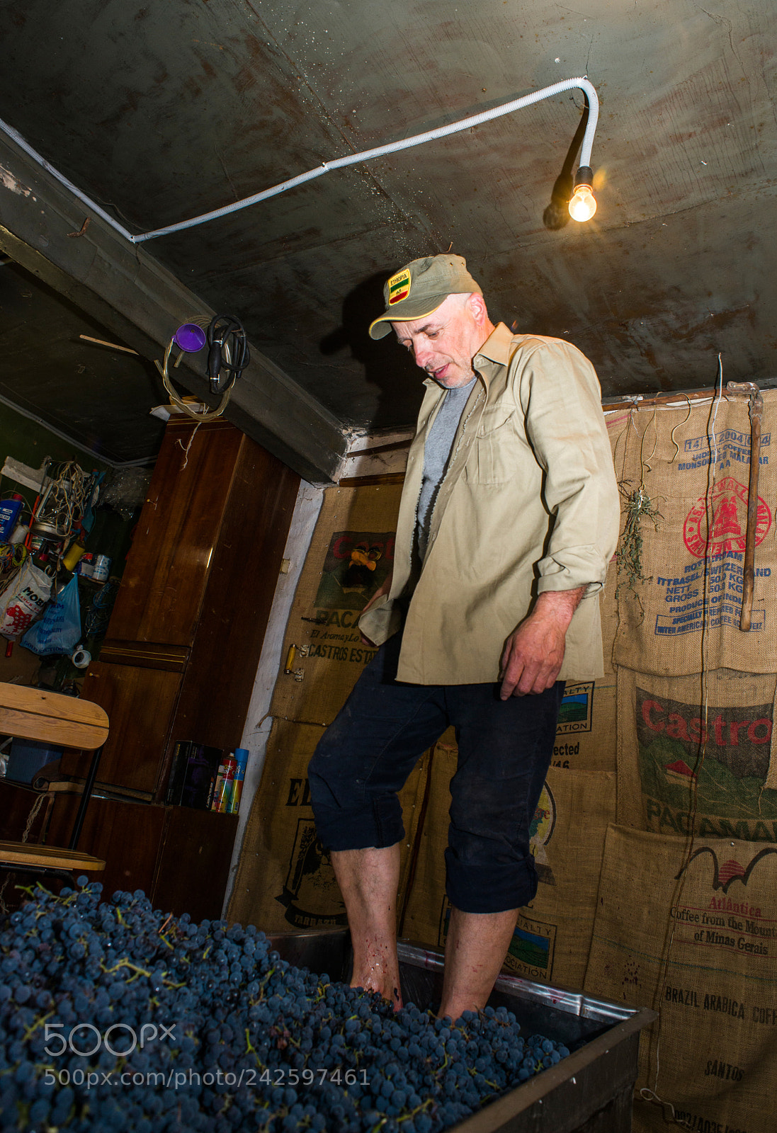 Nikon D800 sample photo. True garage winemaker photography