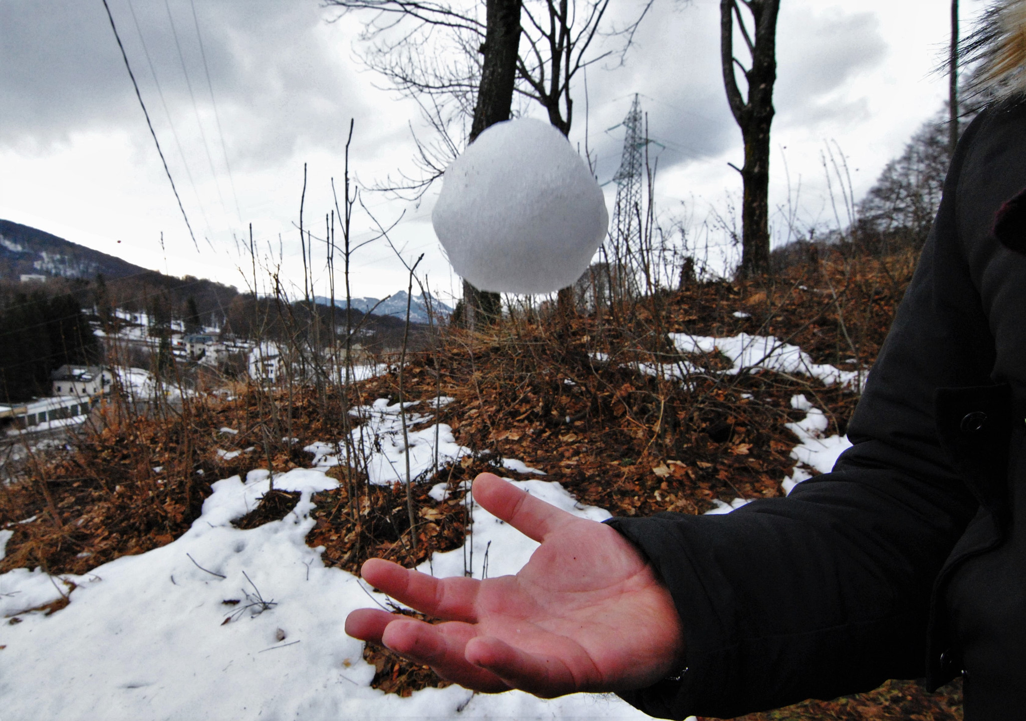 Nikon D3000 sample photo. Winter taste iv photography