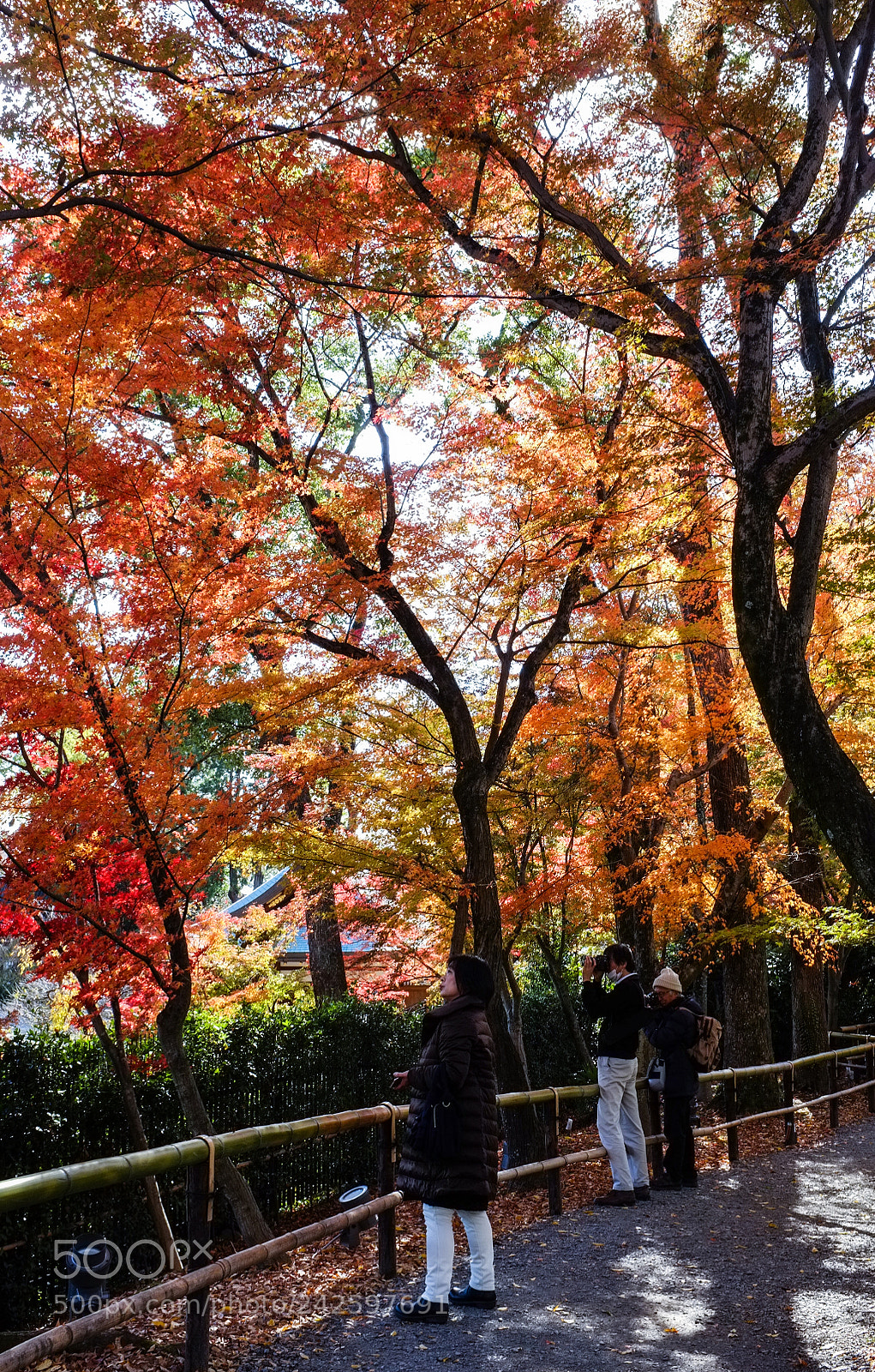 Fujifilm FinePix X100 sample photo. A good day photography