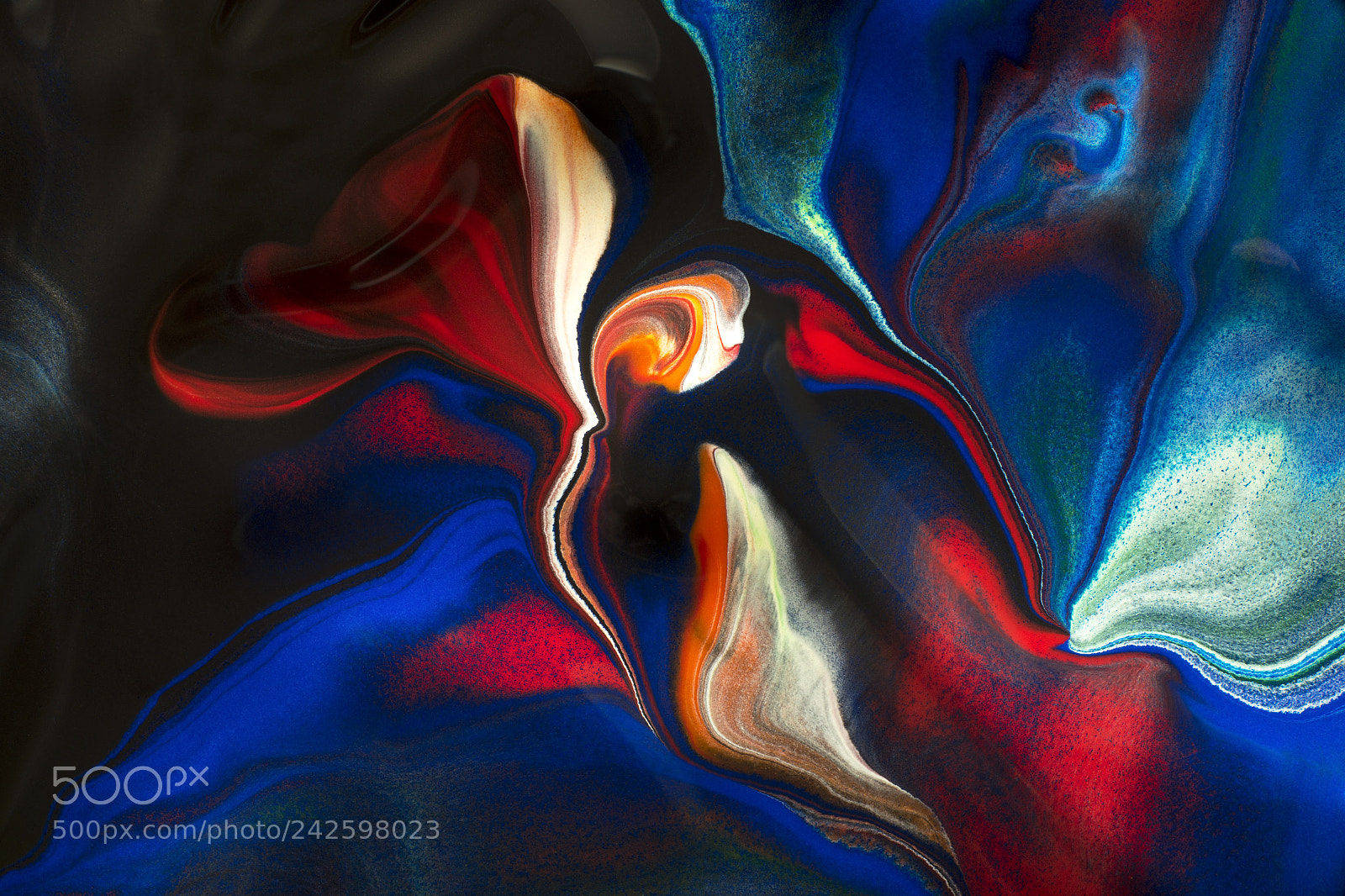 Sony a7R sample photo. Plate 5516 photography