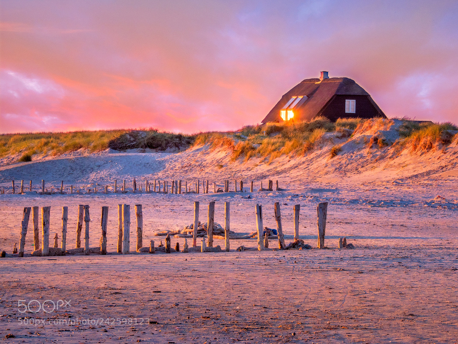 Olympus OM-D E-M1 Mark II sample photo. Colorful beach sunset in photography