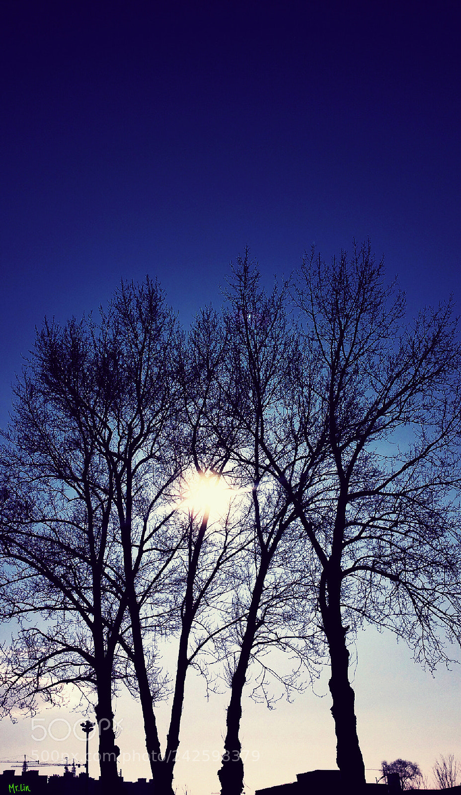 Samsung Galaxy Note4 sample photo. Untitled photography