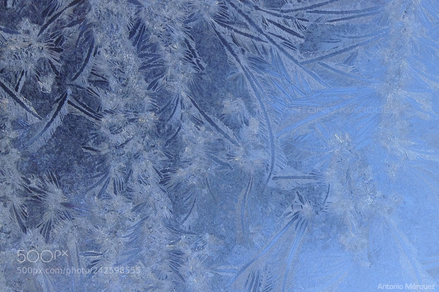 Apple iPhone 4S sample photo. Fractales de hielo photography
