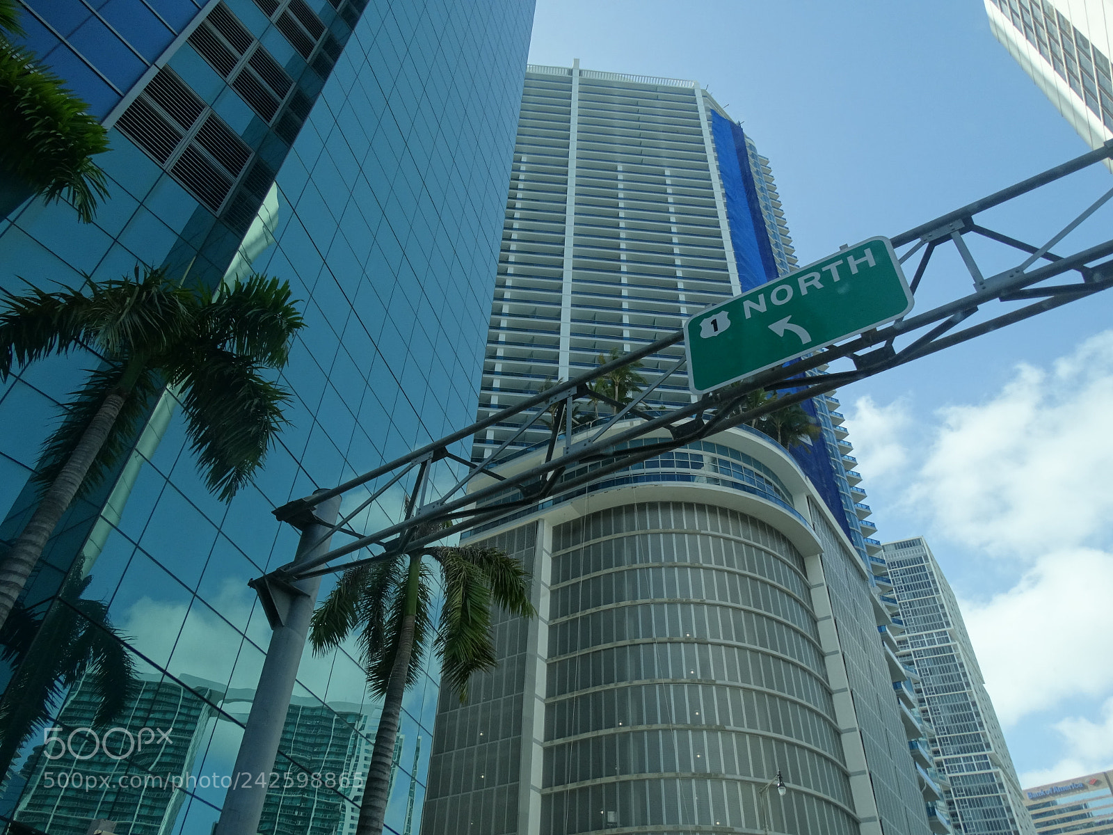 Sony Cyber-shot DSC-HX300 sample photo. Dsc photography