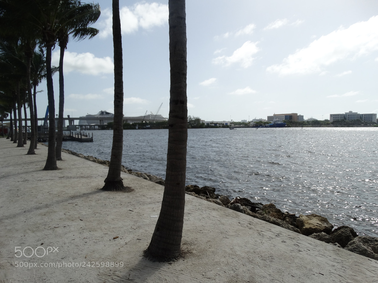 Sony Cyber-shot DSC-HX300 sample photo. Dsc photography