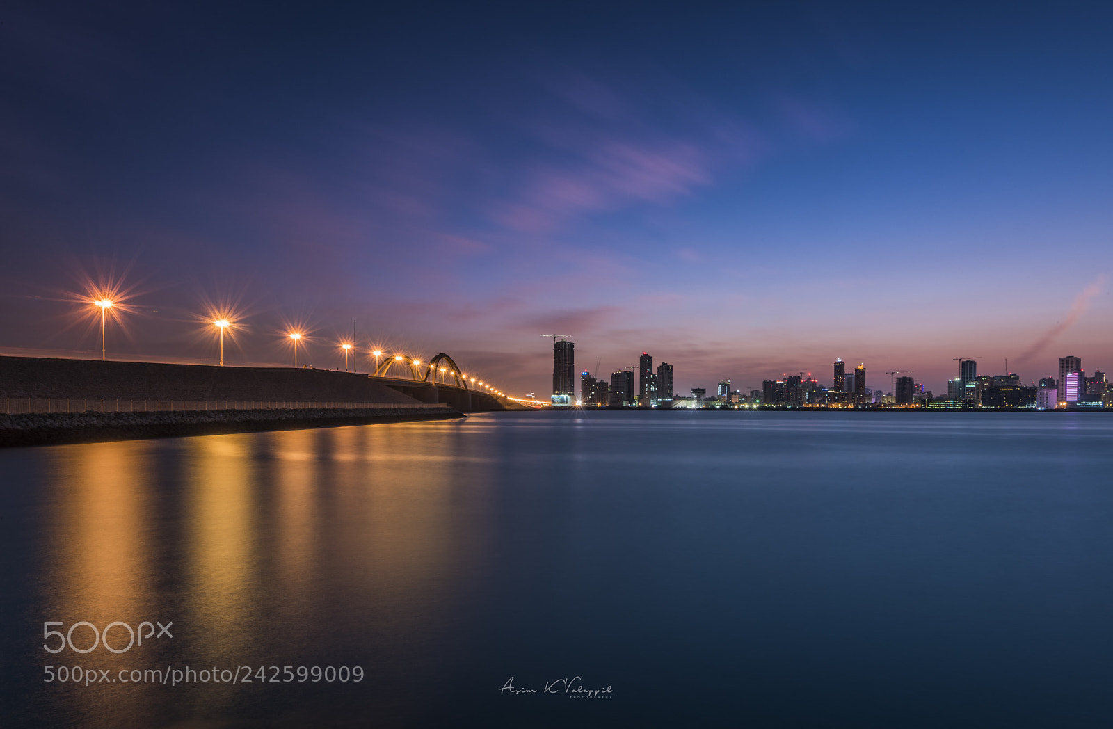 Nikon D810 sample photo. The bridge near prince photography
