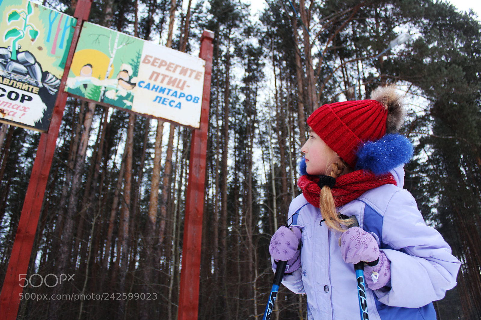 Canon EOS 1200D (EOS Rebel T5 / EOS Kiss X70 / EOS Hi) sample photo. Girl in forest photography