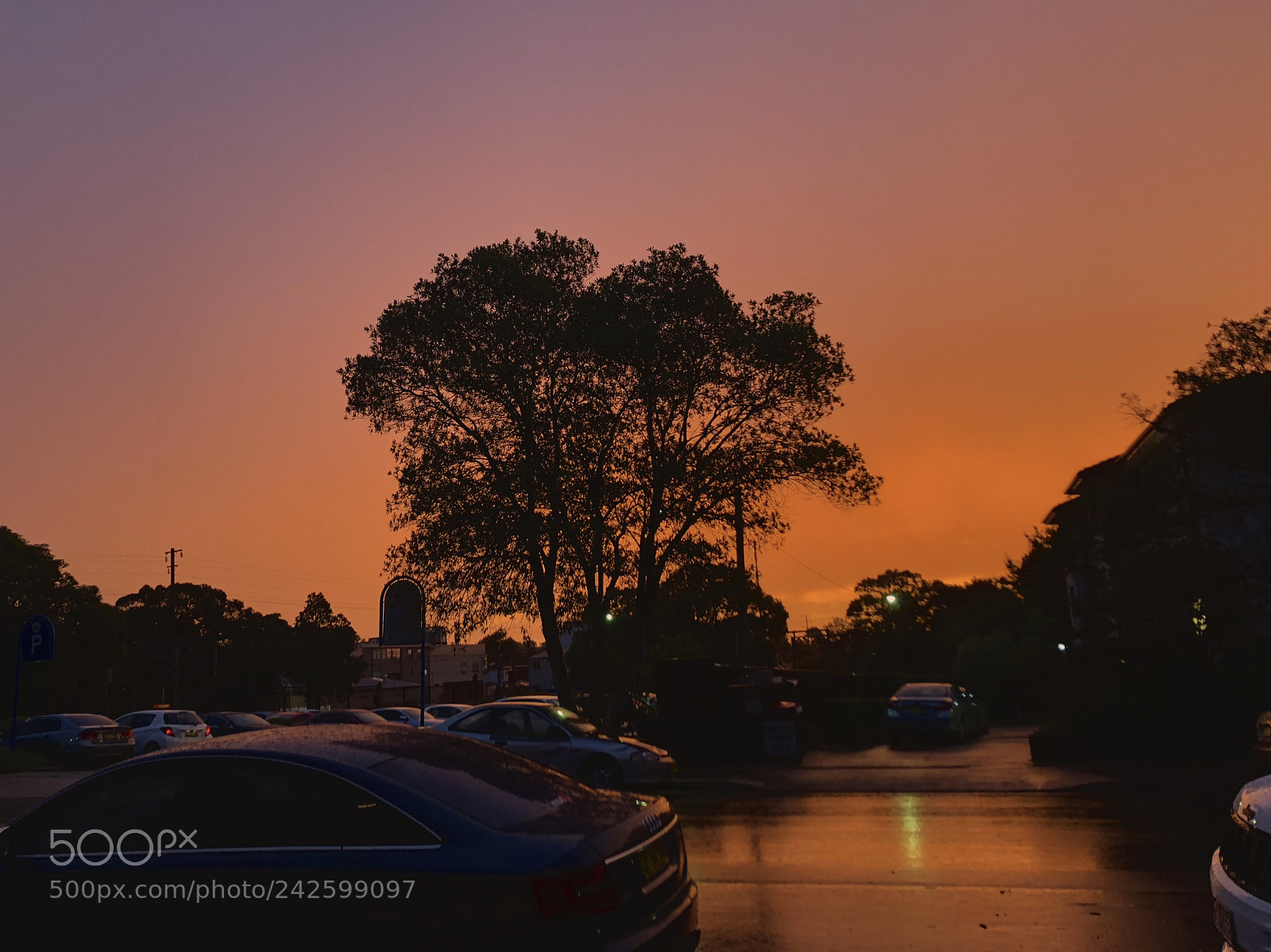 Apple iPhone X sample photo. Sunset photography