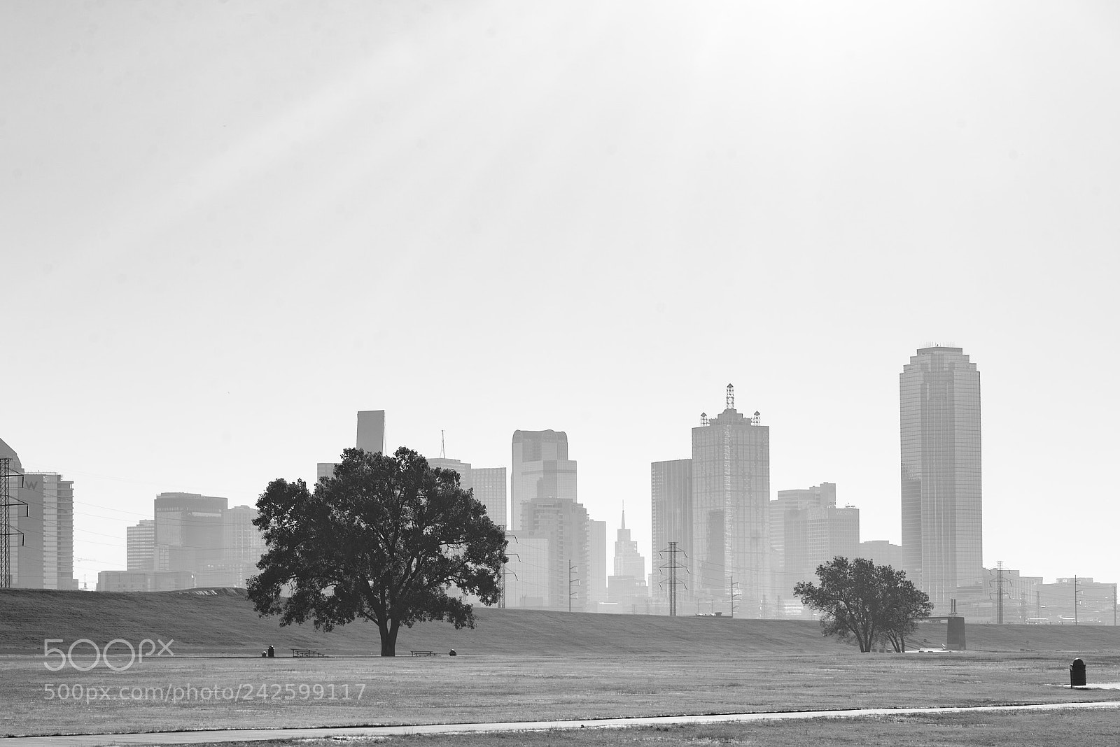 Nikon D800 sample photo. Dallas (b+w) photography