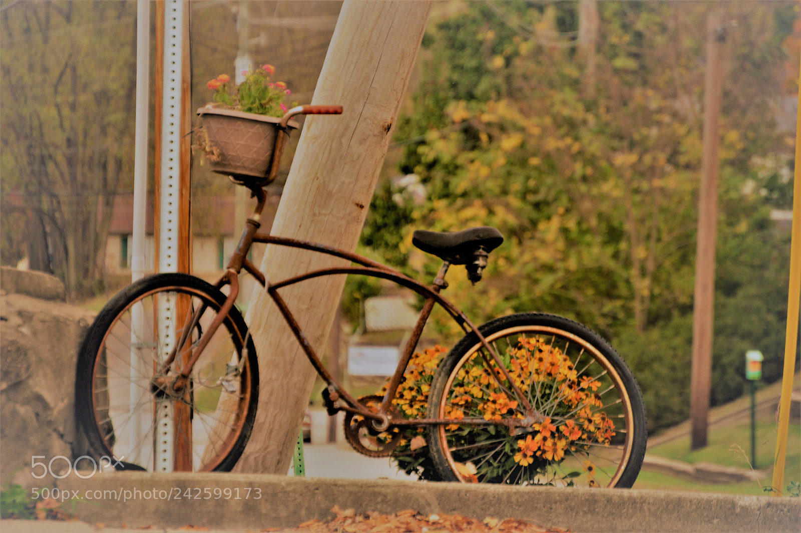 Nikon D3200 sample photo. Rusty bike photography