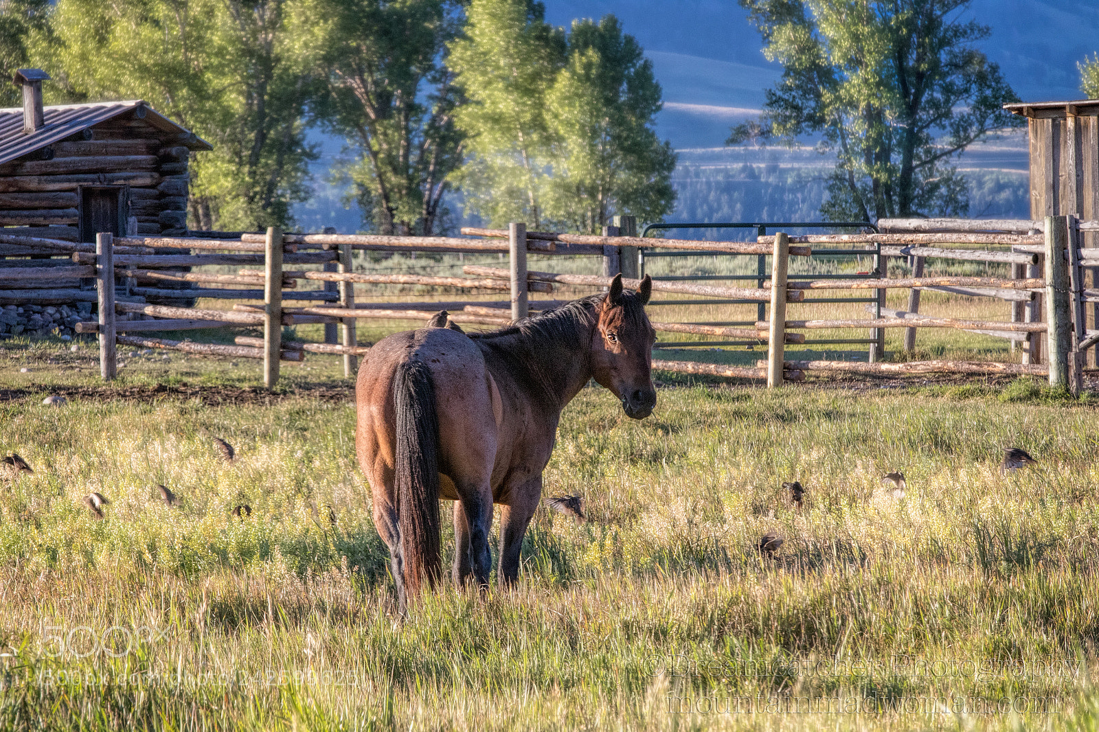 Canon EOS 7D Mark II sample photo. Hitchhikers photography