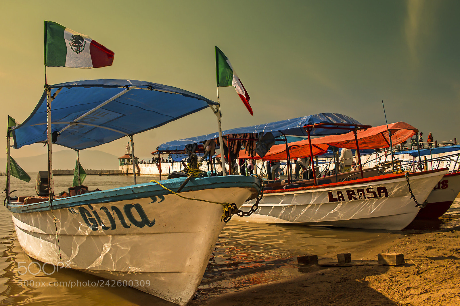 Canon EOS 700D (EOS Rebel T5i / EOS Kiss X7i) sample photo. Boats on lake chapala photography