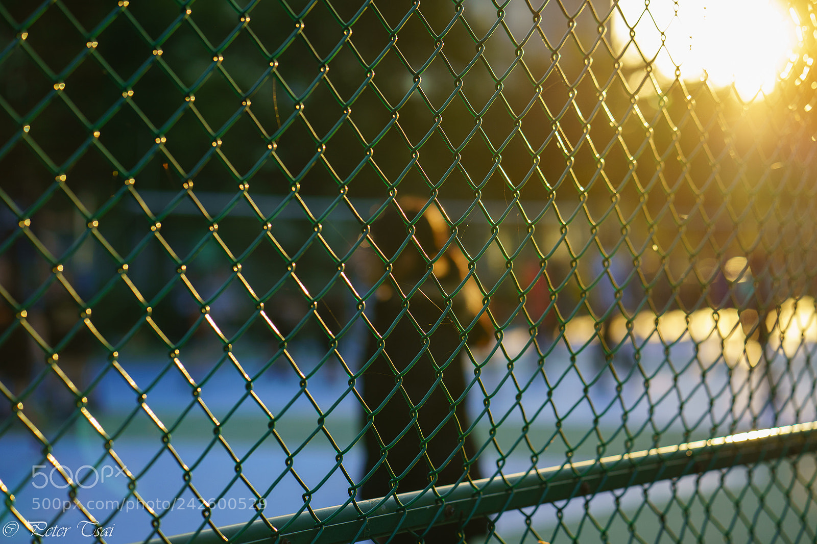 Sony a7R III sample photo. 校園 photography