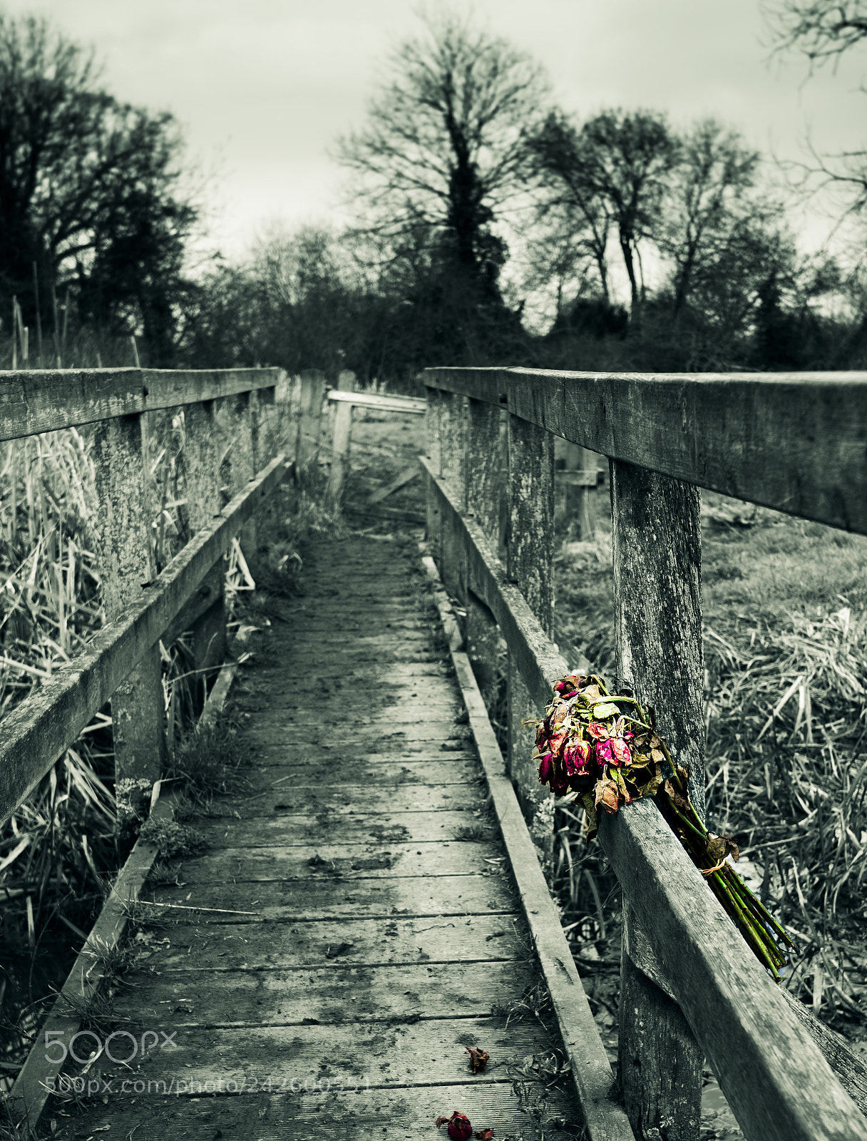 Nikon D810 sample photo. Faded remembrance. photography