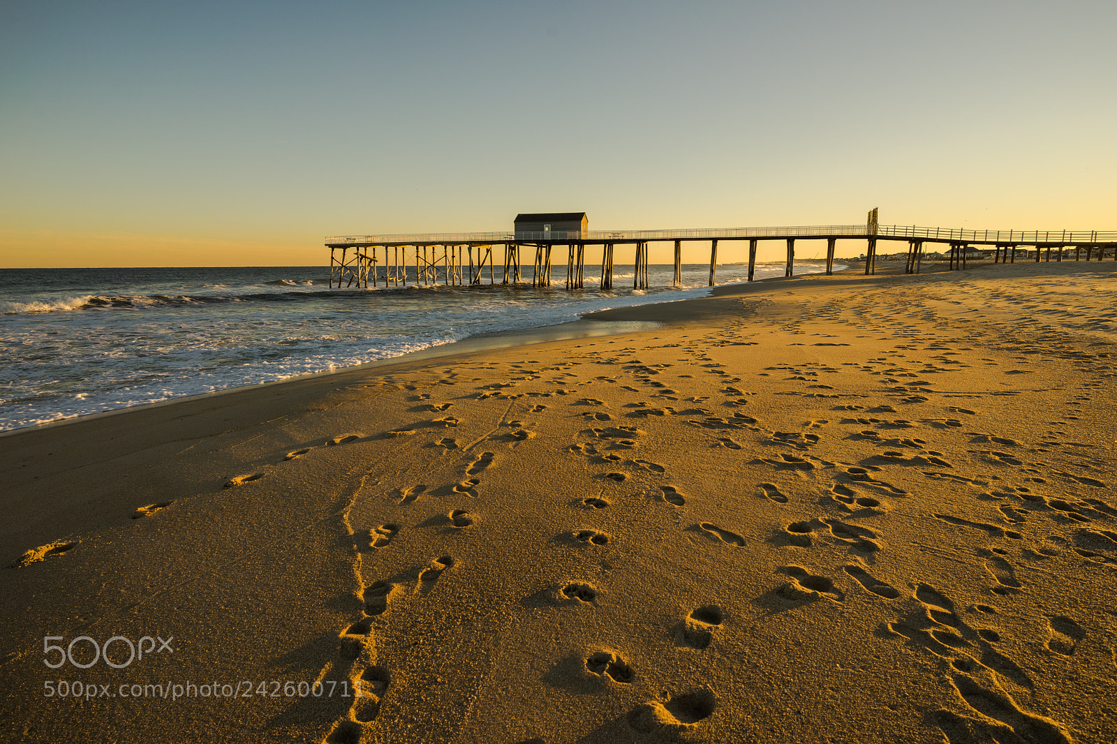 Sony a7 II sample photo. Belmar nj photography