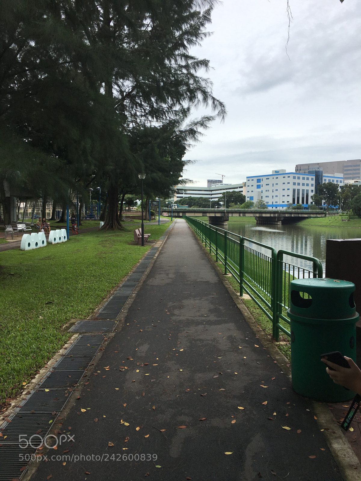 Apple iPhone 6s sample photo. 04.kallang photography