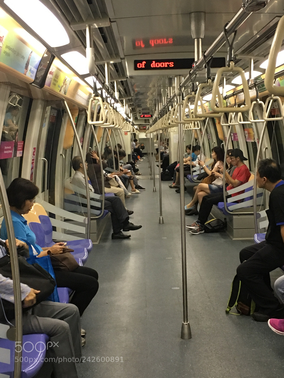Apple iPhone 6s sample photo. 05.mrt photography