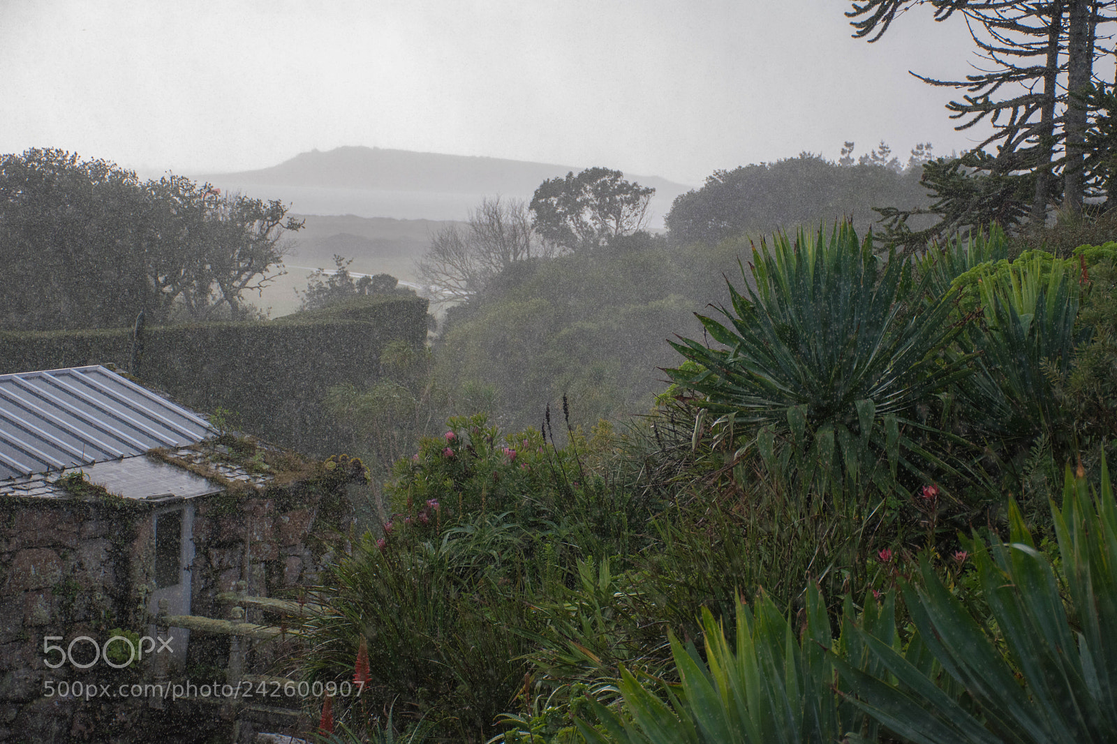 Nikon D5500 sample photo. Untitled photography