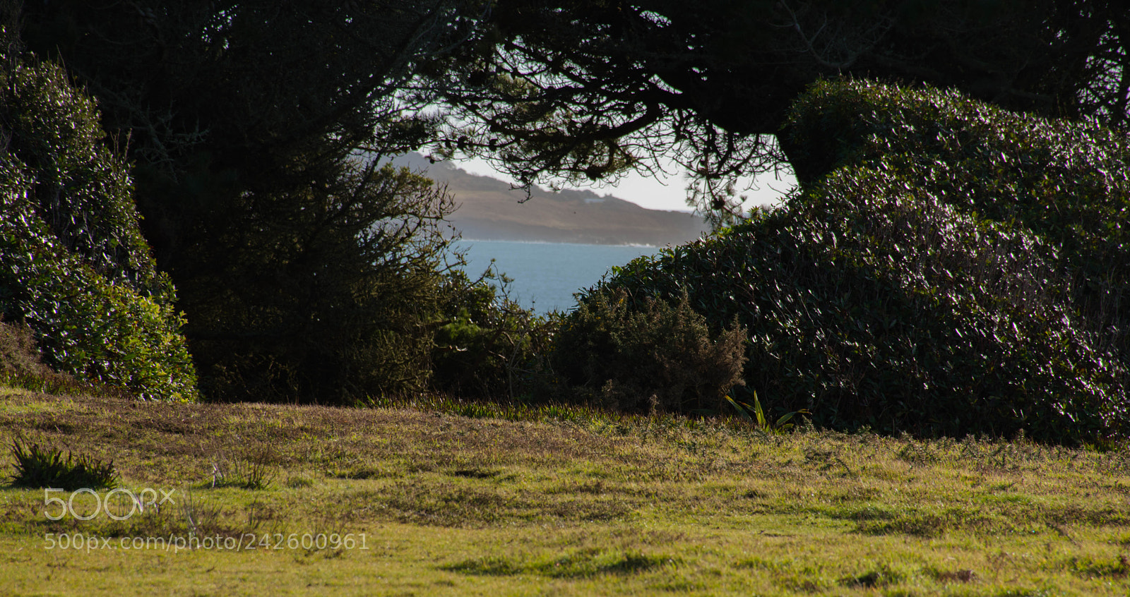 Nikon D5500 sample photo. Dslr photography