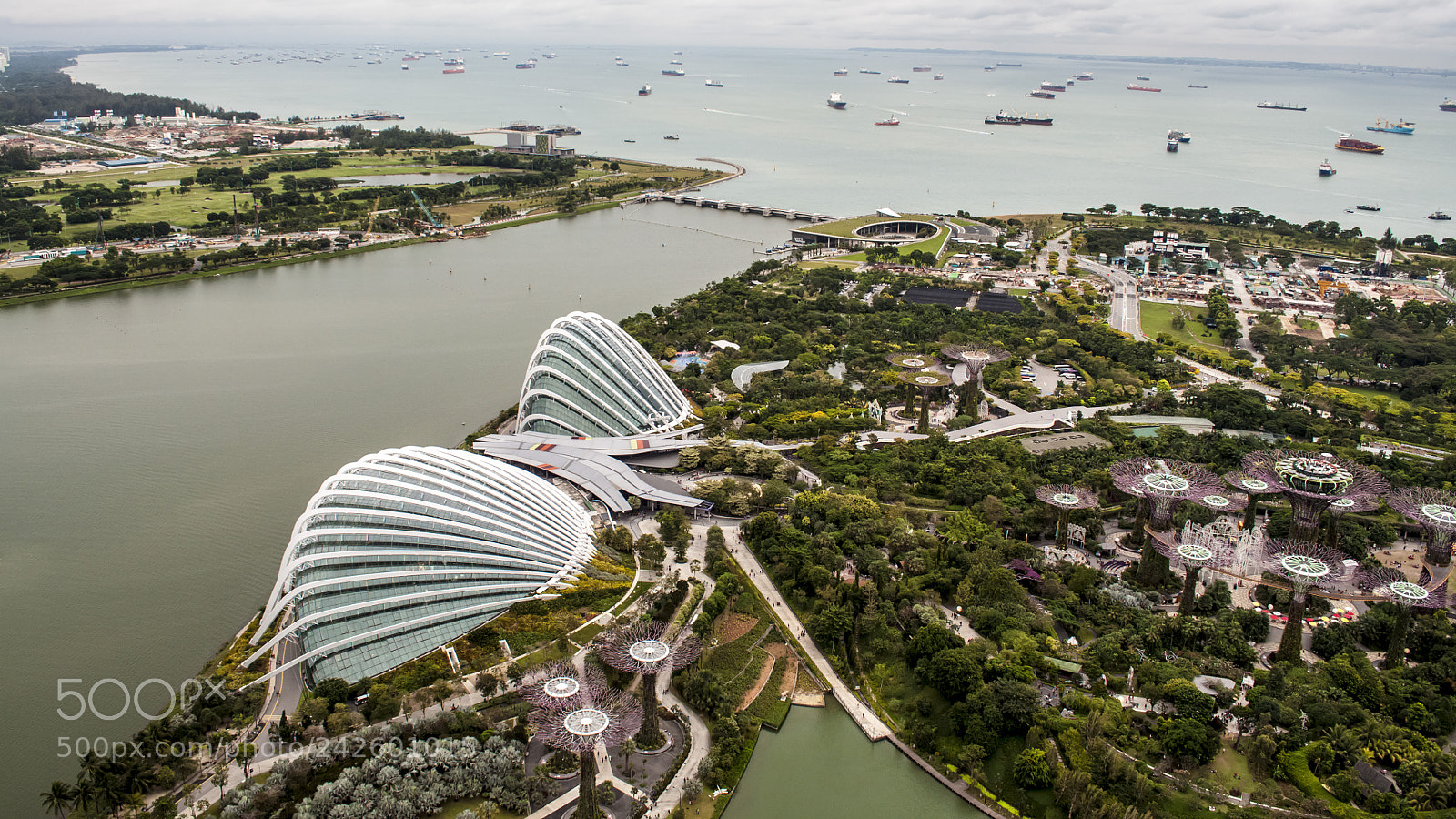 Nikon D90 sample photo. Gardens by the bay photography