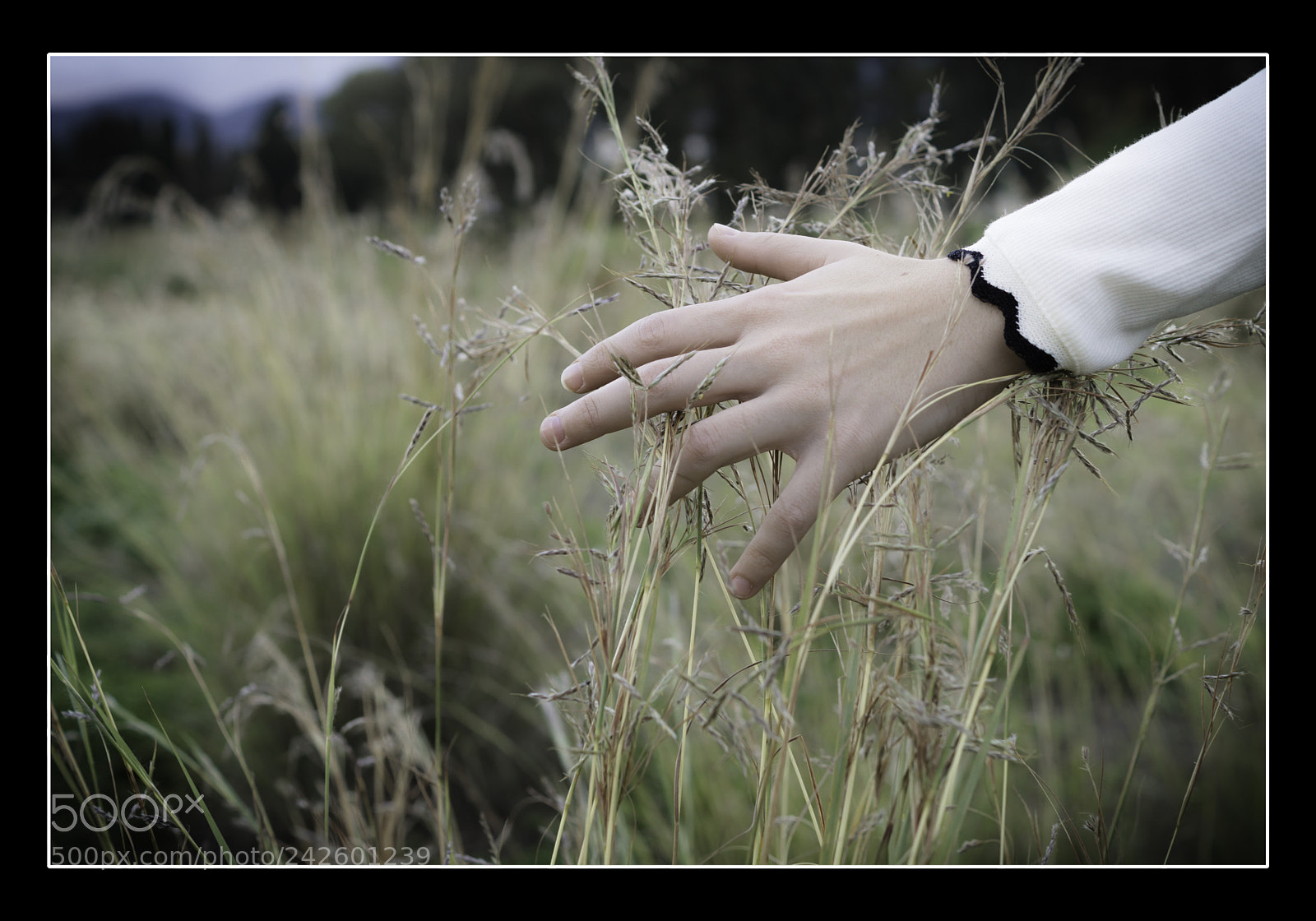 Sony SLT-A58 sample photo. Untitled photography
