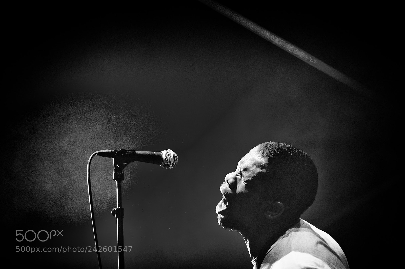 Nikon D5 sample photo. #bantucontinua @festivalcite 2017 photography