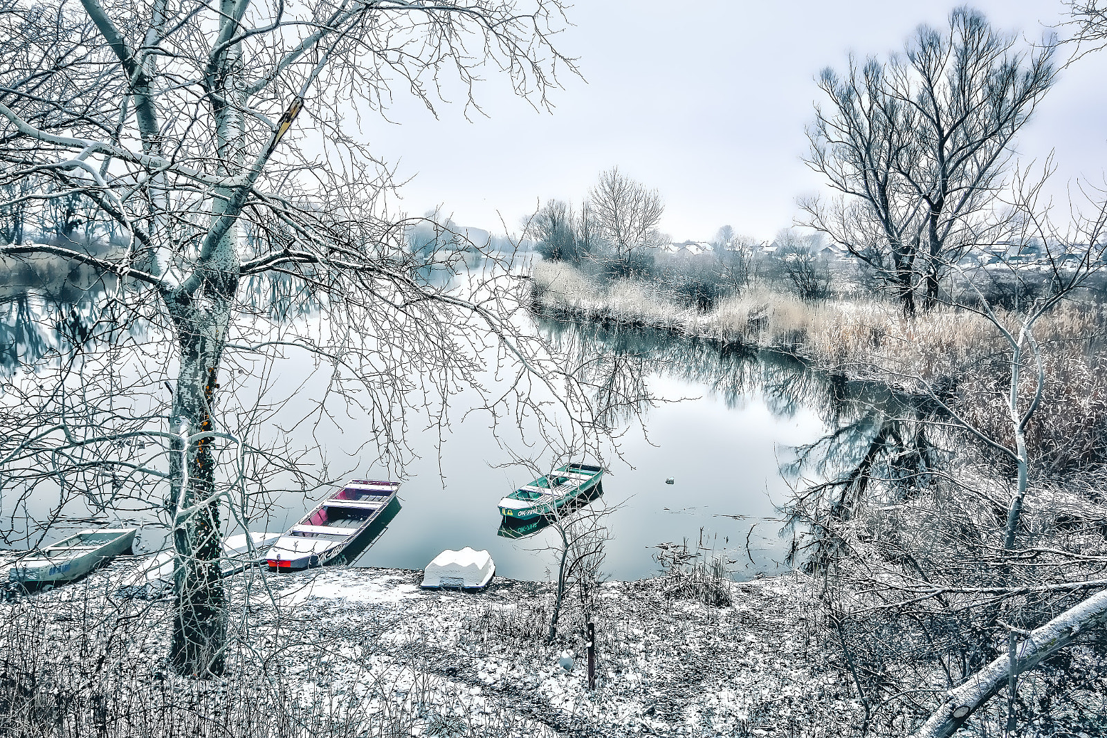Nikon D7100 sample photo. Winter beauty photography