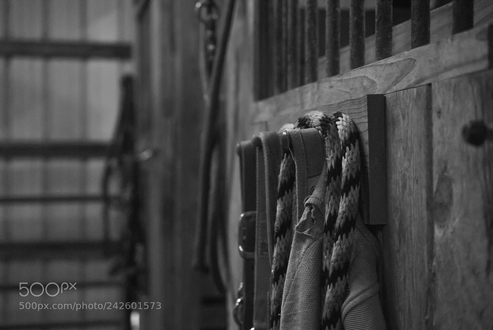 Nikon D3000 sample photo. Lead ropes photography