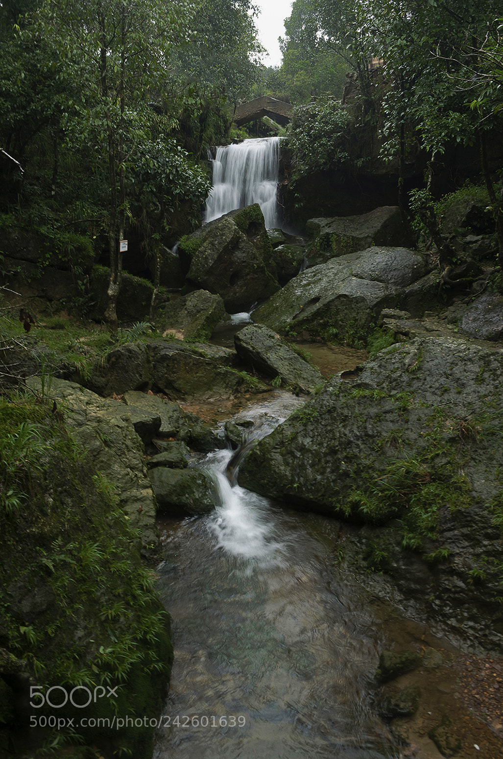 Nikon D5100 sample photo. Elysium photography