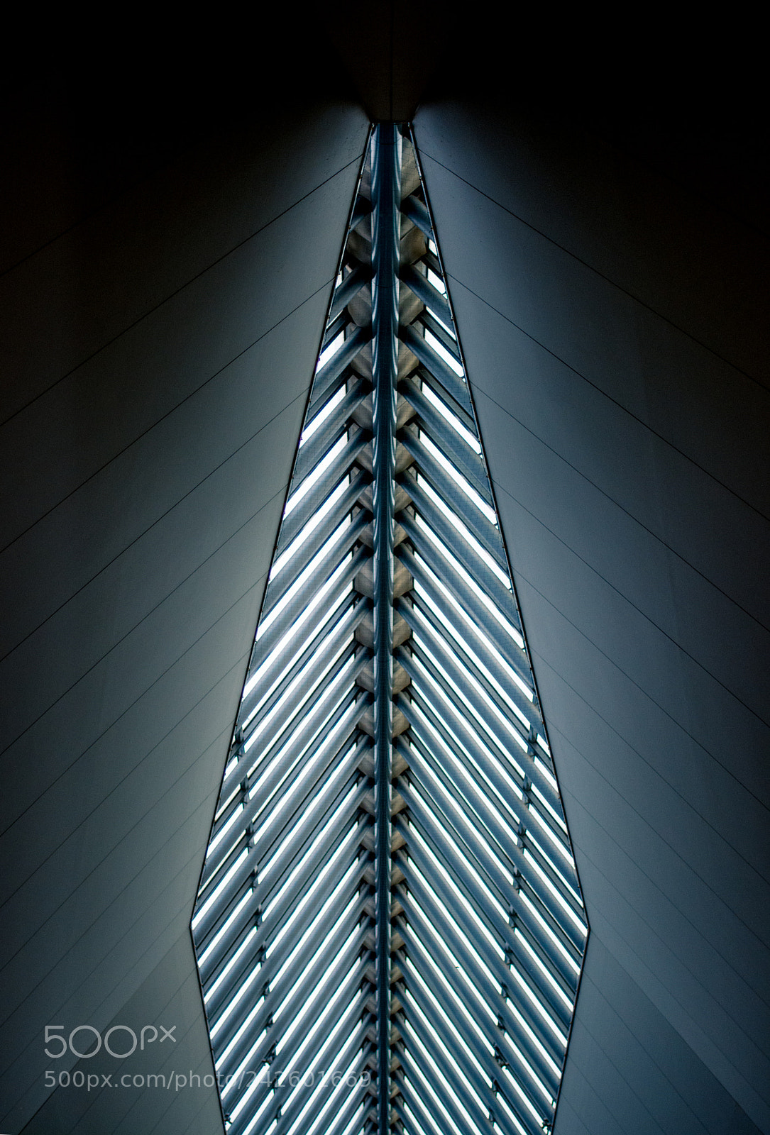 Nikon D7100 sample photo. Roof photography