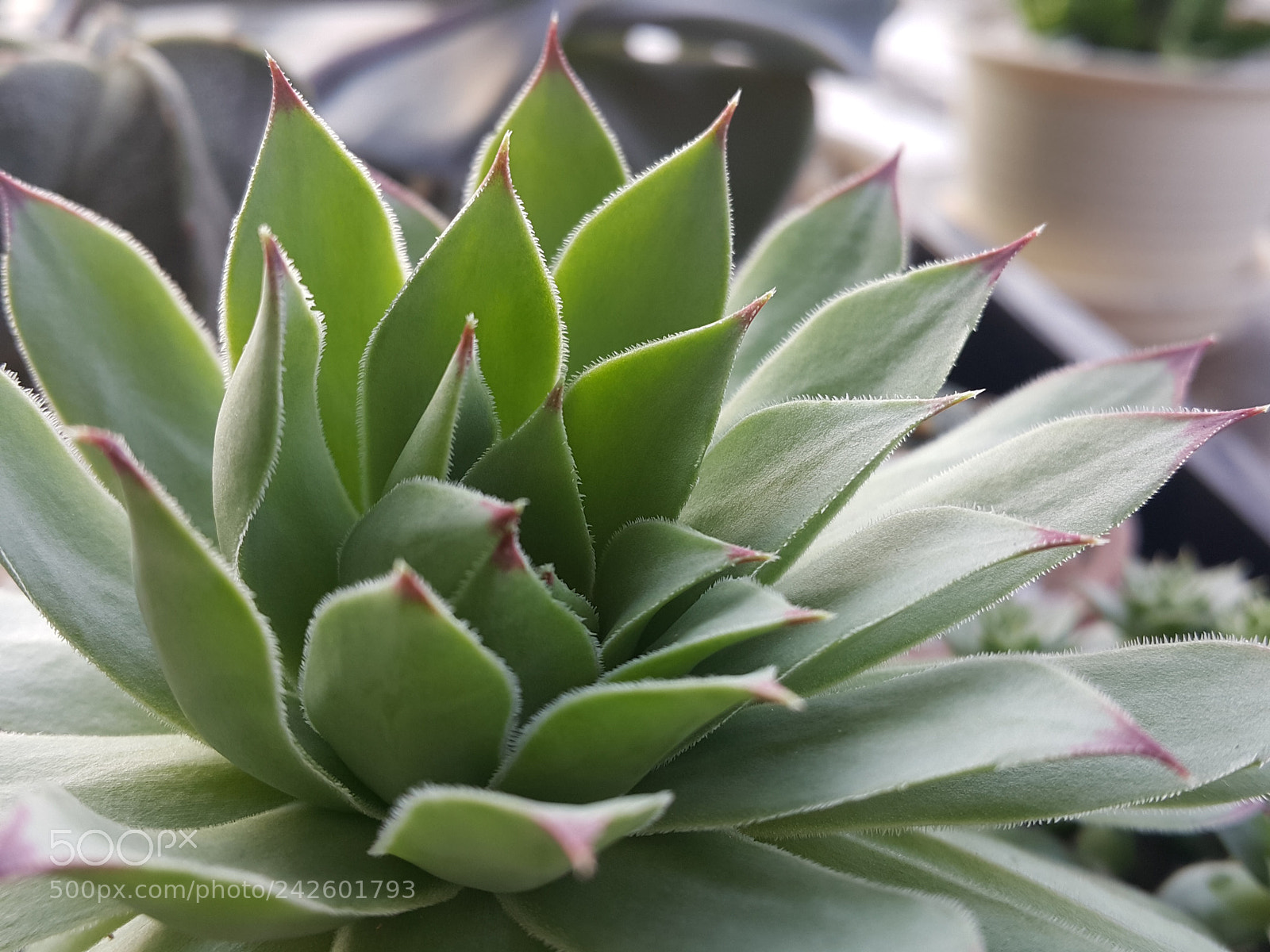 Samsung Galaxy Note4 sample photo. Untitled photography