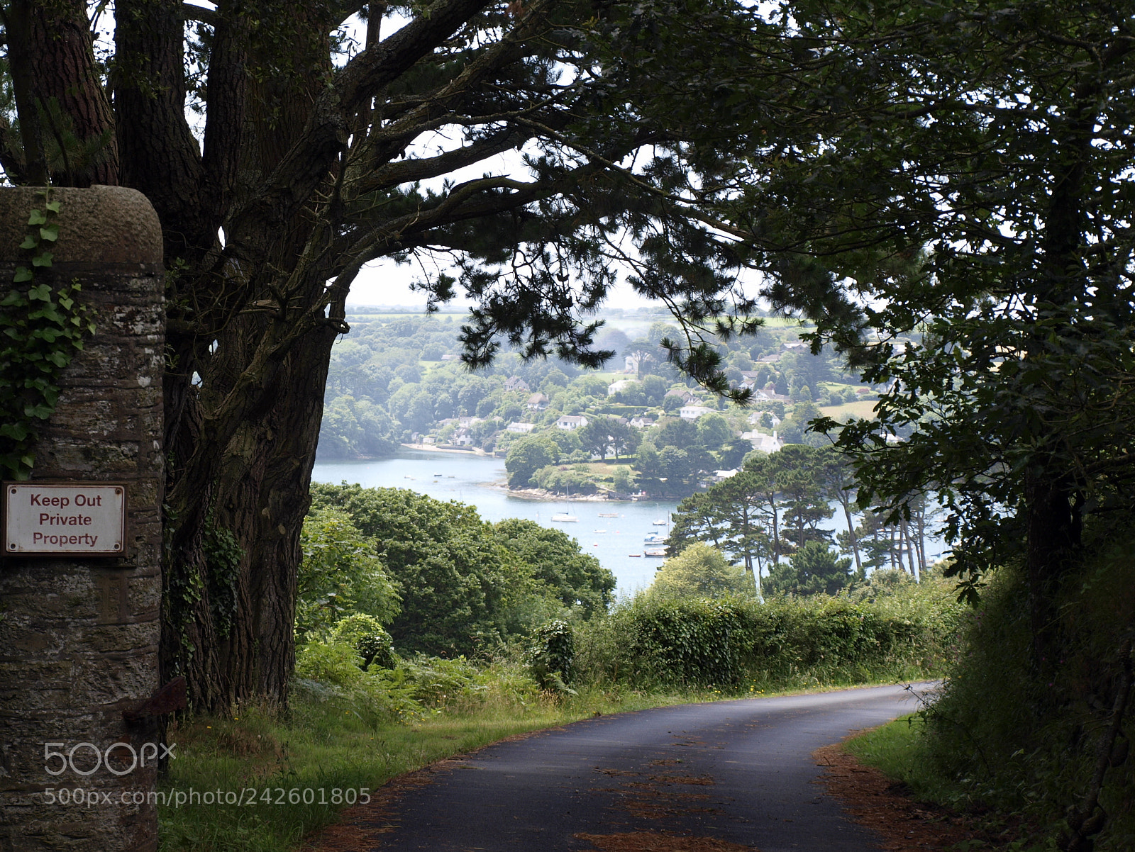 Olympus E-420 (EVOLT E-420) sample photo. Helford river. photography
