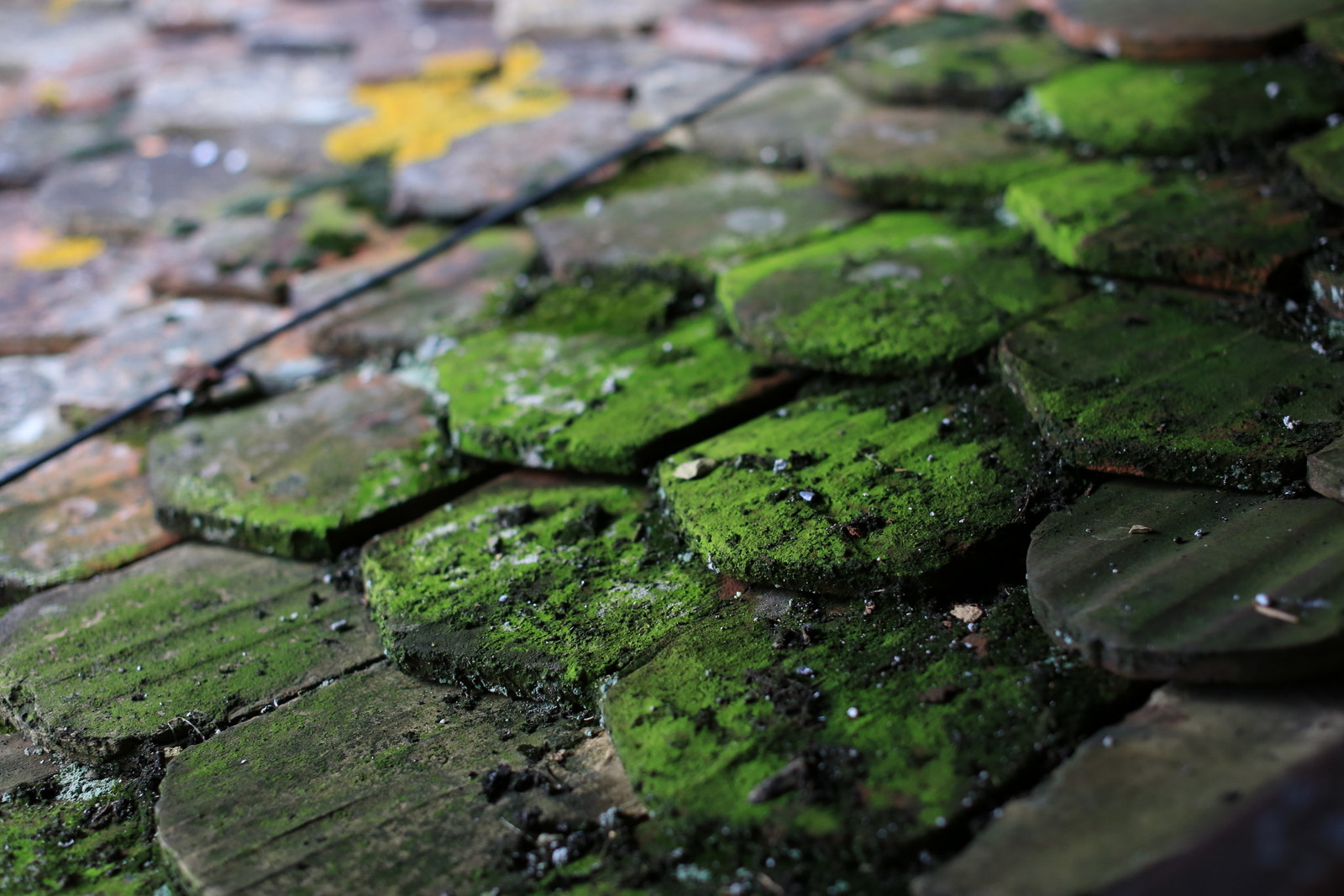 Canon EF 50mm F1.2L USM sample photo. Medieval roof photography