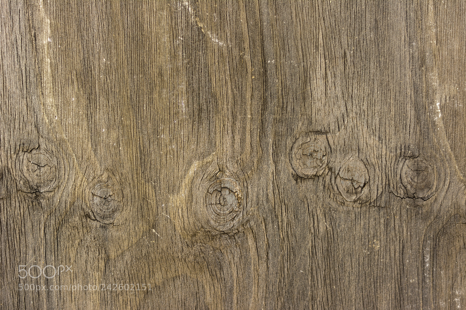 Nikon D7100 sample photo. Wood photography