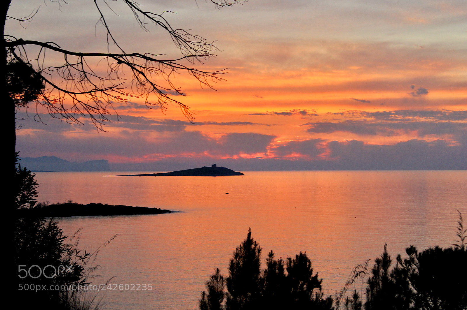Canon EOS 550D (EOS Rebel T2i / EOS Kiss X4) sample photo. Isola delle femmine al photography