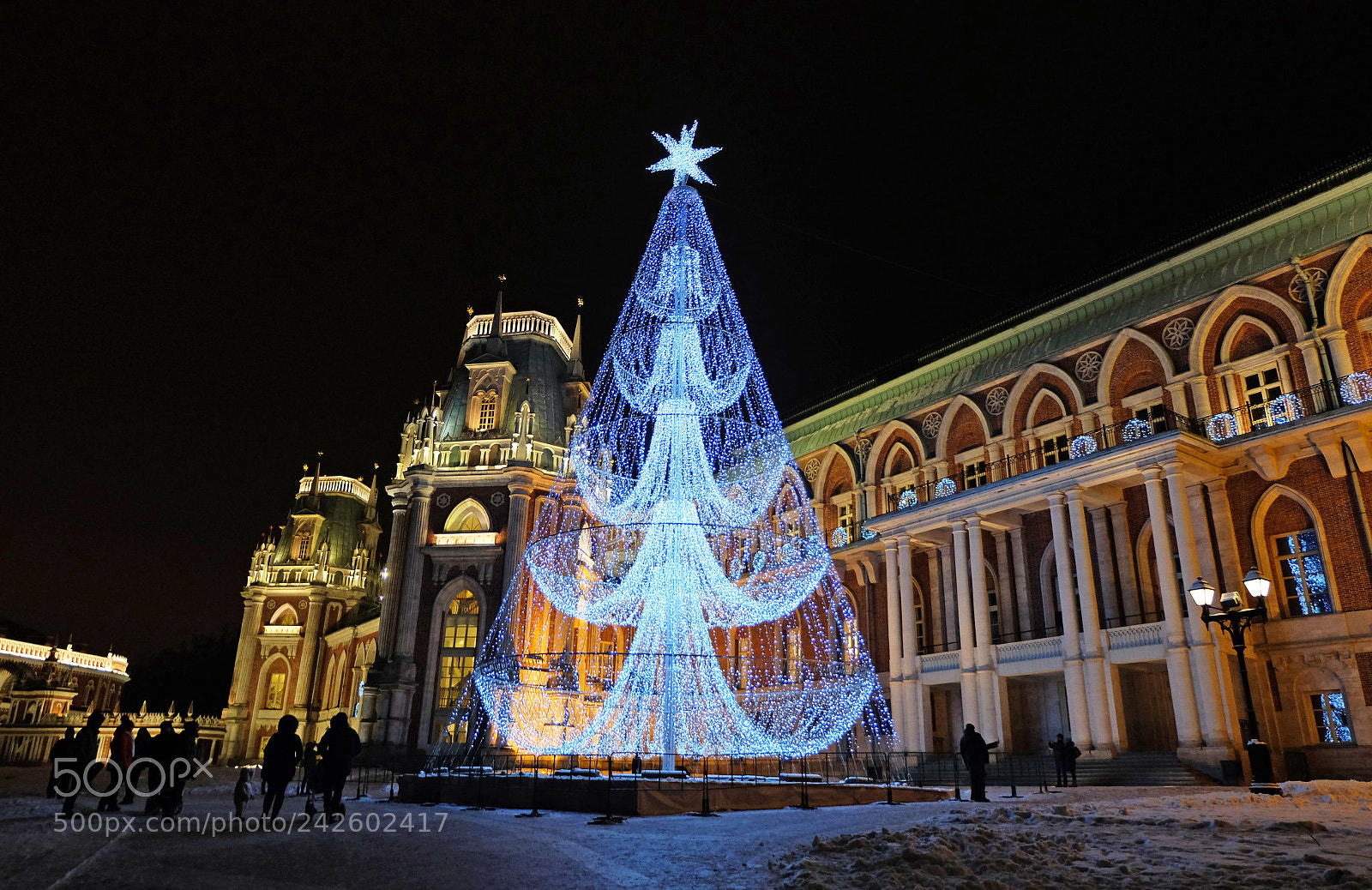 Fujifilm X-M1 sample photo. Catherine palace in the photography
