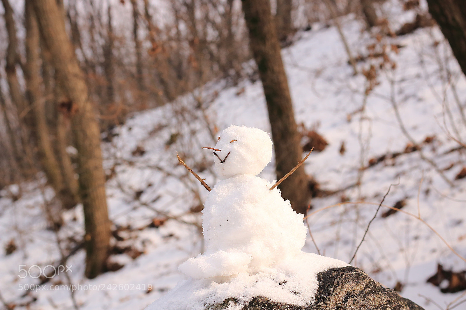 Canon EOS 70D + Canon EF 50mm F1.8 STM sample photo. Snowmen photography